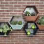 Susteelable wand plantenbak combinatie